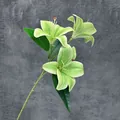 Lis artificiel vert clair 3D réaliste avec trois têtes de fleurs et feuilles détaillées - Vert
