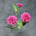 Vibrant rose pink silk dahlia flower with two blooming heads and green foliage - Rose Red