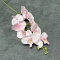 Einzelner Zweig 3D-Druck Phalaenopsis Orchidee in Rosa mit künstlichen Seidenblüten - Wasserrosa
