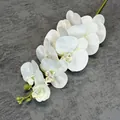 White 3D printed artificial moth orchid branch with purple speckled centers and buds - White