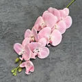 Single realistic pink 3D printed butterfly orchid branch with natural texture and buds - Pink