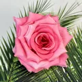 Nahaufnahme eines leuchtend rosa künstlichen Rosenkopfes aus Seide mit feiner Textur - Hellrosenrot