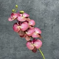 Artificial Phalaenopsis orchid branch with 7 pink and magenta gradient silk flowers - Purple Pink