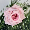 Nahaufnahme eines 10cm künstlichen Rosenkopfs mit realistischen rosa Seidenblütenblättern - Rosa-Lila