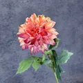 Rose Red