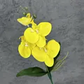 Realistic yellow artificial phalaenopsis orchid branch with green leaves and buds - Yellow