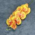 Enkele 3D-geprinte gele phalaenopsis orchideestengel met oranje kleurverloop en roze hart - Oranje