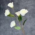 Elegante weiße 5-köpfige künstliche Lisianthus-Blume für Heimdekor und Hochzeiten - Weiß