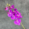 Single stem of 7-head magenta PU phalaenopsis orchid with realistic green buds - Purple