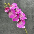 Realistic fuchsia PU butterfly orchid stem with blooming flowers and green buds - Flower Purple