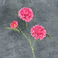 Three-head dark pink artificial dahlia flower with layered petals and green stem - Rose Red