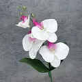 Realistische kunstorchidee tak met 4 witte en roze bloemen en groene bladeren - Wit Paarse Vogel