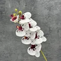 Artificial white phalaenopsis orchid with purple spots and premium green buds - White Speckled