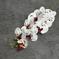 3D-geprinte Phalaenopsis orchideetak met witte bloembladen en donkerrode stippen - Gespikkeld Wit