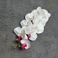 Enkele tak 3D-geprinte Phalaenopsis orchidee in wit en magenta voor woondecoratie - Wit Paarse Vogel