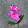 Realistische fuchsia Phalaenopsis orchideeëntak met drie zijden bloemen en groene bladeren - Paarsrood