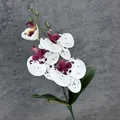 Realistische 4-koppige orchidee in wit met paarse vlekken voor huisdecoratie - Wit Gespikkeld