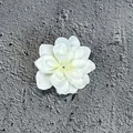 Artificial white silk larkspur flower head for DIY hair accessories and brooch decoration - White