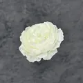 Décoration de pivoine blanche en soie réaliste avec pétales multicouches sur fond gris - Blanc