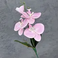 Roze kunstmatige Phalaenopsis orchidee met zachte bloembladen en paarse realistische stippen - Roze
