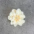 Detailed cream white artificial violet flower head for DIY hair accessories and decor - Champagne
