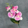 Kunstmatige orchideetak met roze en witte strepen en 4 bloemhoofden en knoppen - Roze