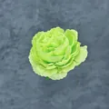Tête de pivoine artificielle vert citron pour décorations de mariage artisanales - Vert