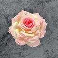 Realistischer 10cm künstlicher Rosenkopf mit pinkem und cremigem Farbverlauf - Champagnerrosa