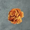 Artificial vintage orange silk peony flower for DIY wedding decor and hair accessories - Caramel color