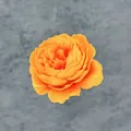 Artificial blooming orange silk peony flower head for DIY wedding decorations - Orange