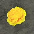 Artificial yellow peony flower head made of silk for DIY wedding decorations - Yellow