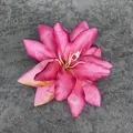 Cabeza de lirio artificial rosa intenso para decoración de bodas y artesanía - Rosa Roja