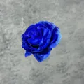 Deep royal blue artificial peony flower head for DIY wedding crafts and decorations - Sapphire Blue
