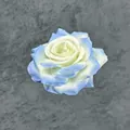 Künstlicher 10cm Rosenkopf mit blau-weißem Farbverlauf für DIY-Dekorationen - Neues Eisblau