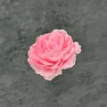 Delicate pink artificial peony flower head with layered petals for DIY wedding crafts - Deep Pink