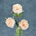 Rosa Austin artificial color champán con tres cabezas de flores y hojas realistas - Champaña