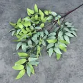 Ramas de sauce artificiales con hojas largas verdes y textura escarchada decorativa - Verde Grisáceo