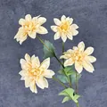 Künstliche Dahlie mit 4 cremefarbenen Blüten und grünen Blättern auf dunklem Hintergrund - Champagner