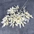 Rama de hoja de sauce blanco artificial para decoración con textura blanca realista - Champaña