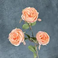 Rose Austin artificielle à trois têtes rose corail pour décoration et mariage - Champagne Rose