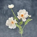 Weiße künstliche Kosmos-Seidenblume mit 4 Köpfen und gelben Blütenzentren - Champagner