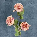 Rose Austin artificielle à 3 têtes dégradé rose-orange avec bords de pétales réalistes - Café Rose