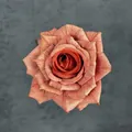Künstliche Seidenrosenblüte in Vintage-Karamell für Hochzeitsdekorationen - Dunkelorange