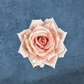 Artificial silk rose head in champagne pink for wedding DIY and elegant home floral decor - Light Orange