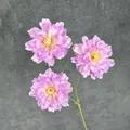 Artificial 3-head peony branch with pink and purple gradient petals for home decor - Purple