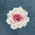 Artificial silk rose head with pink to cream gradient petals for wedding DIY decor - Champagne Pink