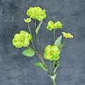 Tallo de lisianthus artificial verde de 6 cabezas para decoración de bodas y hogar - Verde