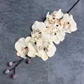 Artificial white Phalaenopsis orchid branch with seven lifelike blooms for home decor - Champagne