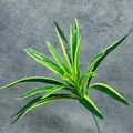 Künstliche Dracaena-Pflanze mit grün-gelb panaschierten, schwertförmigen Blättern - Grün mit gelben Rändern