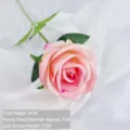 Velvet pink artificial rose with gradient petals, 50cm tall with green leaves - 7cm Style / Pink Heart